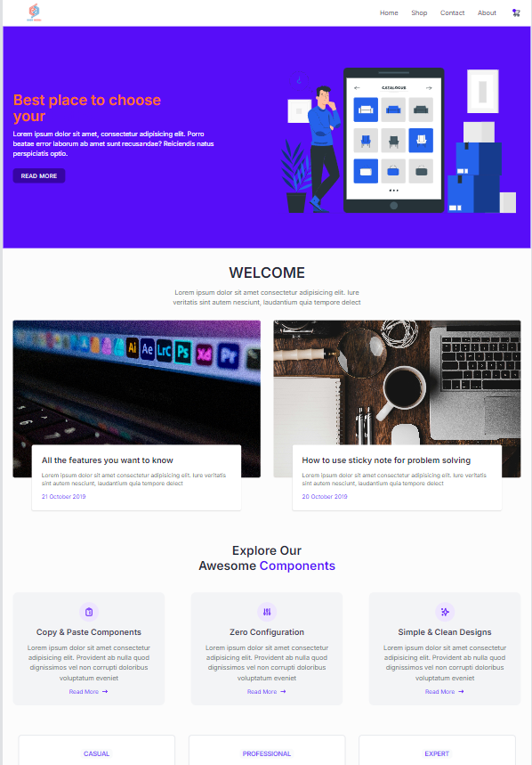 RMDYMEDIA-Template-CSS-GRAPE-PICTURE.png